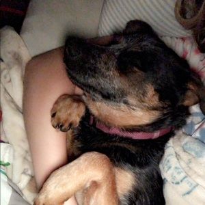 Meet your Posher, Taylor